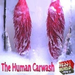 LiquidX: The Human Carwash.....
