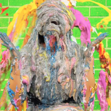 PieZone: Whiny Sorority Girl Gets Relentlessly Pied and Slimed for Charity!