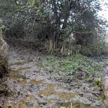 MudTradie: Discreet English forest/woodland mud spots?