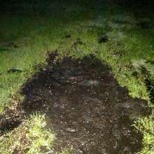 Bliss awaits - bliss awaits f9b4250592c94fe9afbbbdb05 mudboifl muddy night football found pretty mud pit local sports field decided geared full uniform pads helmet cup cleats included sloppy wallow sorry photos came blurry time done inside